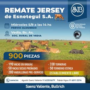Jersey de Esnetegui S.A.