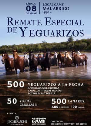 Especial de Yeguarizos 