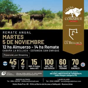 Remate Anual - Cabaña La Bellaca - Estancia San Enrique