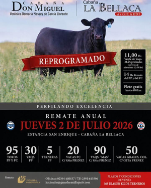 Remate de Cabaña
