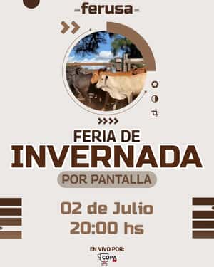 INVERNADA POR PANTALLA