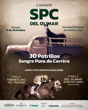 II REMATE SPC DEL OLIMAR