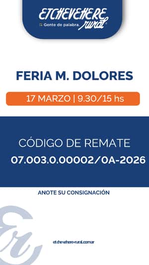 Feria Maria Dolores