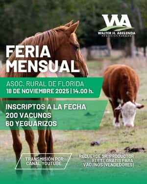 Feria Mensual