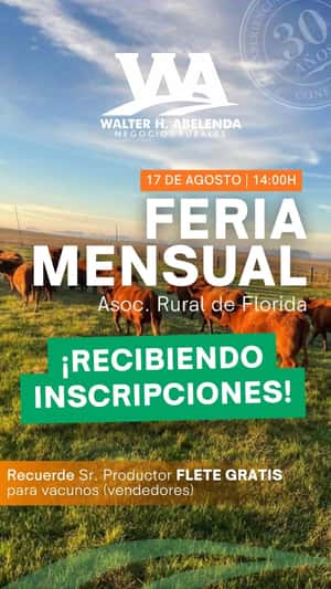 Feria mensual - Walter H Abelenda