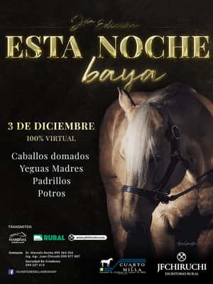 2da ESTA NOCHE BAYA