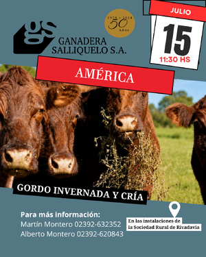 Gordo, Invernada y Cría en América