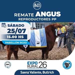 Angus - Reproductores PP