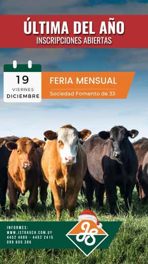 Feria Mensual - Jorge Strauch