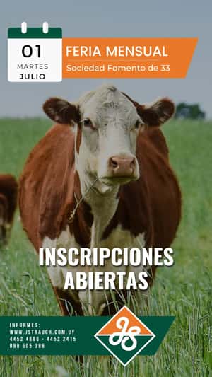 Feria Mensual - Jorge Strauch
