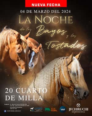 La Noche de los Bayos y los Tostados
