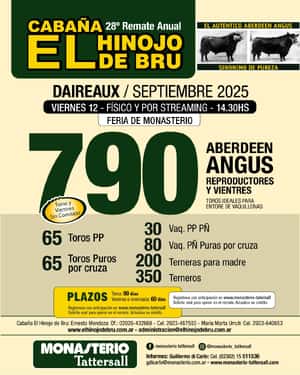 Remate Físico Cabaña El Hinojo de Bru