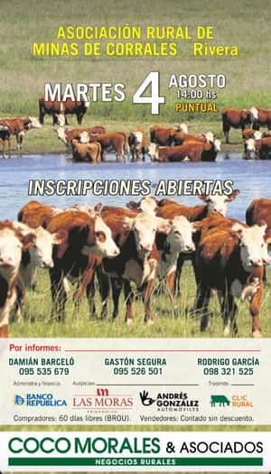 Imagen Feria mensual - Coco Morales