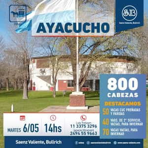 Feria en Ayacucho