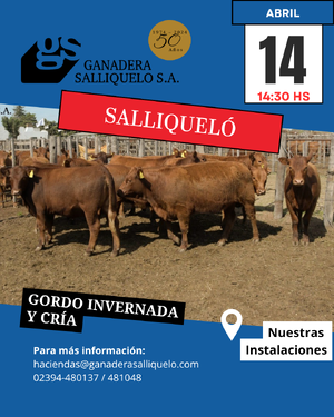 Remate Feria Ganadera Salliqueló S.A.