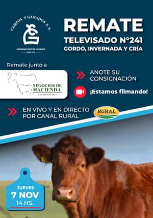 241° REMATE POR PANTALLA