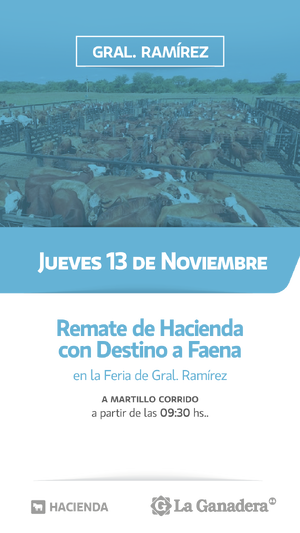 REMATE FERIA EN INSTALACIONES DE GRAL. RAMÍREZ