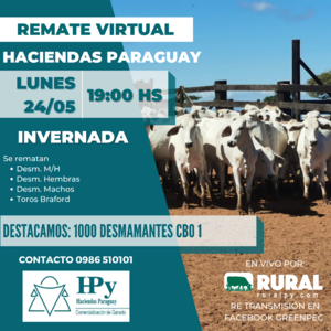 Remate Virtual