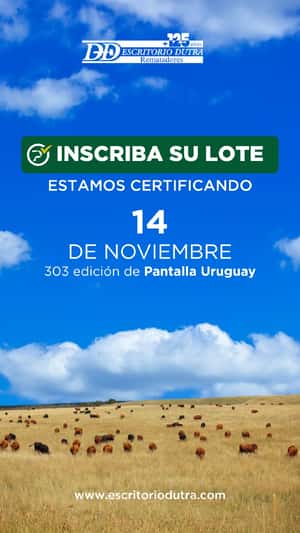 303º remate Pantalla Uruguay