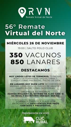 56º Remate Virtual del Norte