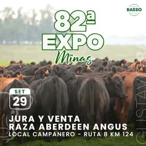 Expo Minas