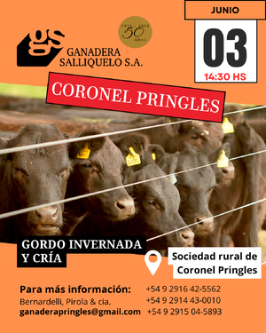 Remate Gordo, Invernada y Cría en Coronel Pringles