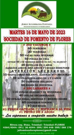 Feria Mensual Martes 16 de Mayo