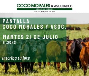 Imagen Pantalla Coco Morales