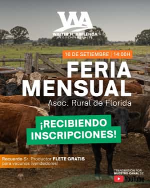 Feria Mensual
