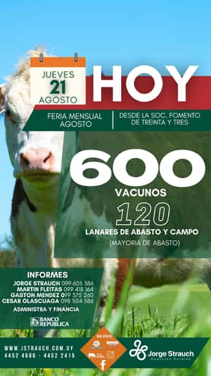 Feria Mensual - Jorge Strauch
