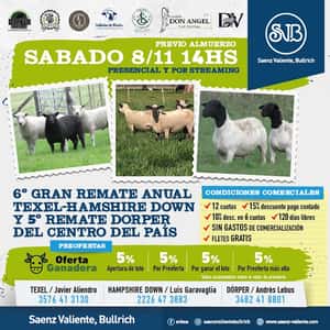 Don Angel e invitados