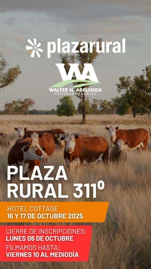 311º remate Plaza Rural