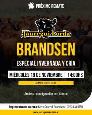 19 de Noviembre - Brandsen