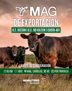6° Remate MAG TV
