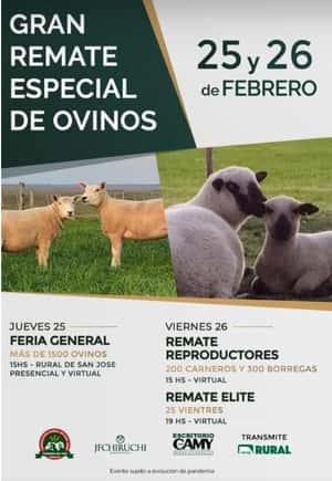 Remate de Reproductores