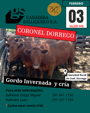 Gordo, Invernada y Cría