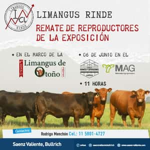 Reproductores Limangus
