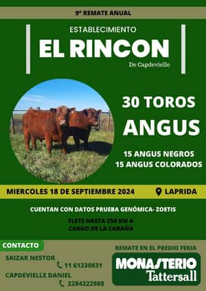 Remate Establecimiento "El Rincon" Miércoles 18 de Septiembre