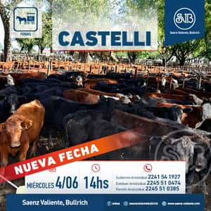 Feria en Castelli