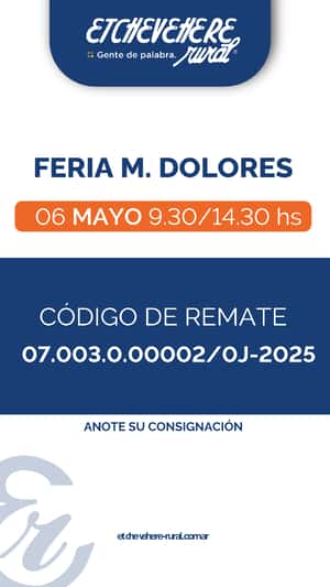 Feria Maria Dolores