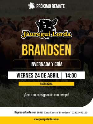 24 de Abril - Brandsen