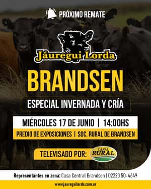 TELEVISADO ORIGINAL