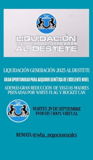 Haras Los Robles