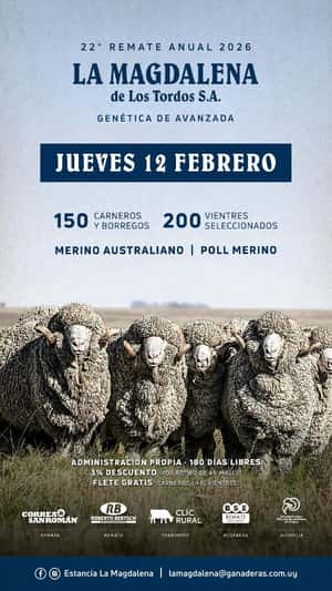 LA MAGDALENA DE LOS TORDOS