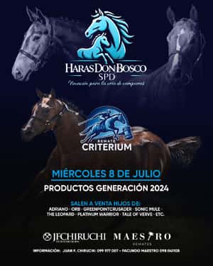 Haras Don Bosco