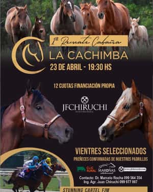 23 de Abril - Virtual