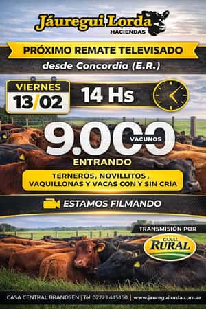 13 de Febrero - Concordia