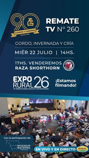 260°REMATE POR PANTALLA - GORDO, INVERNADA Y CRÍA