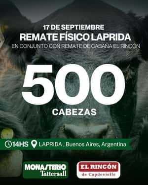 Remate Físico Laprida