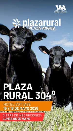 304º remate Plaza Rural